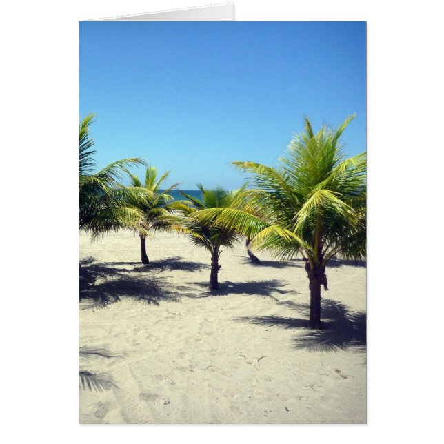 Strandpalmen (Vorne)