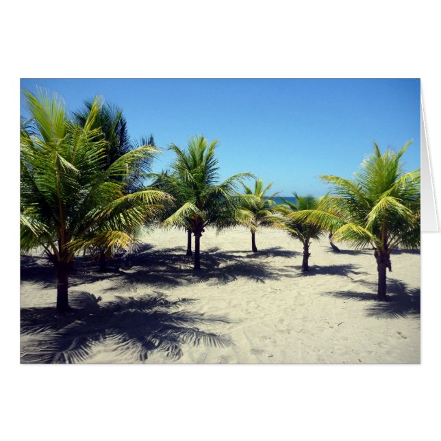 Strandpalmen (Vorderseite (Horizontal))
