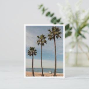 Strandpalmen & Rettungsturm Los Angeles Postkarte