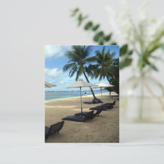 Strandpalmensitze Postkarte (Stehend Vorderseite)