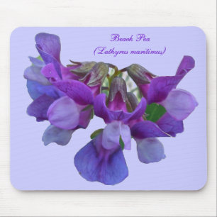 Strandpea (Lathyrus maritimus) - Koordinationsgege Mousepad