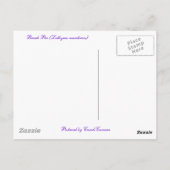 Strandpea (Lathyrus maritimus) - Koordinationsgege Postkarte (Rückseite)