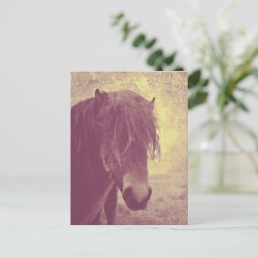 Strandpferd Postkarte (Stehend Vorderseite)