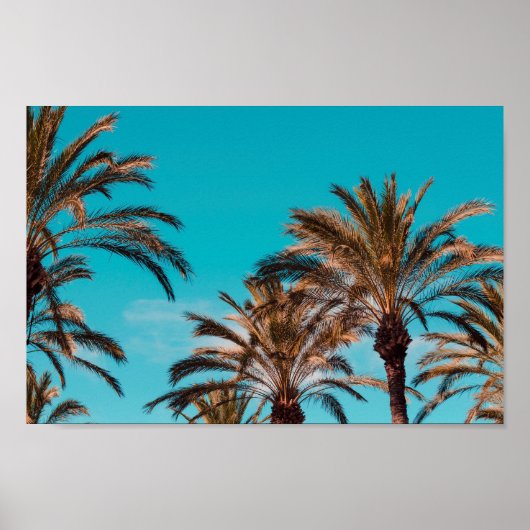 Strandplakat Poster (Vorne)