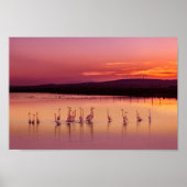 Strandplakat Poster (Vorne)