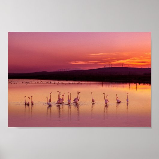 Strandplakat Poster (Vorne)