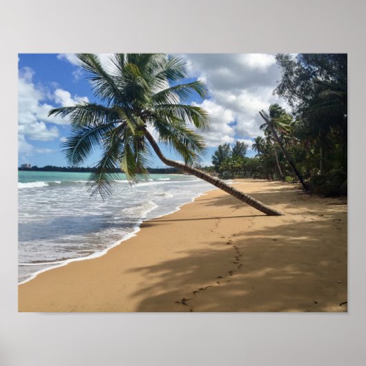 Strandposter Poster (Vorne)