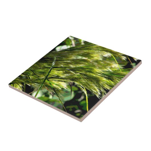 Strandrasen Fliese (Seite)