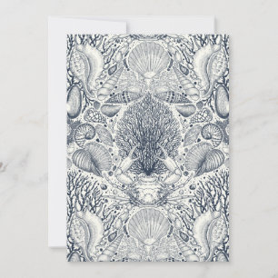 Strandschätze, Muscheln, Krabben, Korallen und Mee