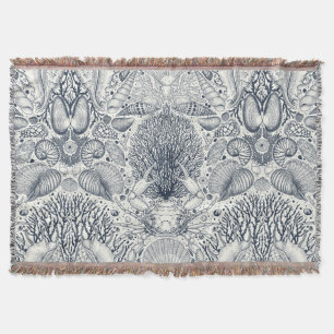 Strandschätze, Muscheln, Krabben, Korallen und Mee Decke