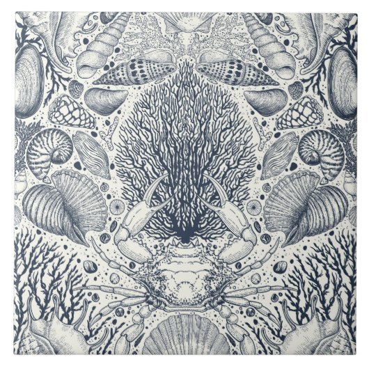 Strandschätze, Muscheln, Krabben, Korallen und Mee Fliese (Vorderseite)