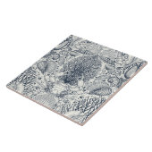 Strandschätze, Muscheln, Krabben, Korallen und Mee Fliese (Seite)