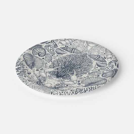 Strandschätze, Muscheln, Krabben, Korallen und Mee Pappteller (Schrägansicht)