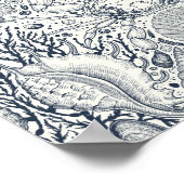 Strandschätze, Muscheln, Krabben, Korallen und Mee Poster (Ecke)