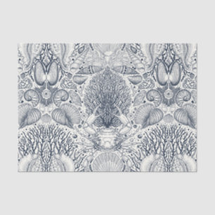 Strandschätze, Muscheln, Krabben, Korallen und Mee Seidenpapier