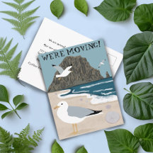 Strandseagulls: Änderung der Ankündigungsadresse