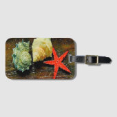 Strandseegarnelenfisch an der Küste Gepäckanhänger (Vorderseite (Horizontal))