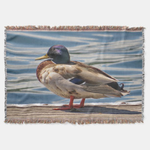 Strandseitige Stockente Decke