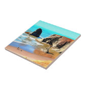 Strandspaziergang mit Hund im Face Rock Park in Ba Fliese (Seite)