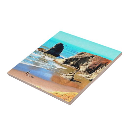 Strandspaziergang mit Hund im Face Rock Park in Ba Fliese (Seite)