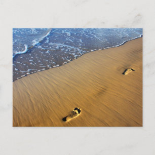 Strandspaziergänge Postkarte