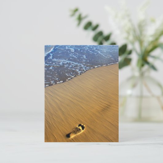 Strandspaziergänge Postkarte (Stehend Vorderseite)