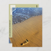 Strandspaziergänge Postkarte (Vorne/Hinten)