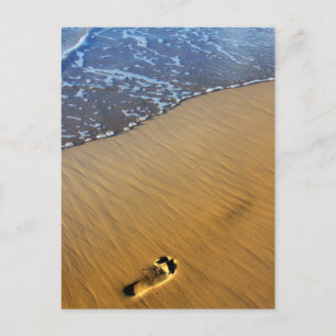 Strandspaziergänge Postkarte