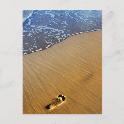 Strandspaziergänge Postkarte (Vorderseite)