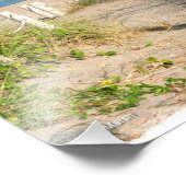 Strandspazierweg Düne abseilend von Florida Beach  Fotodruck (Ecke)