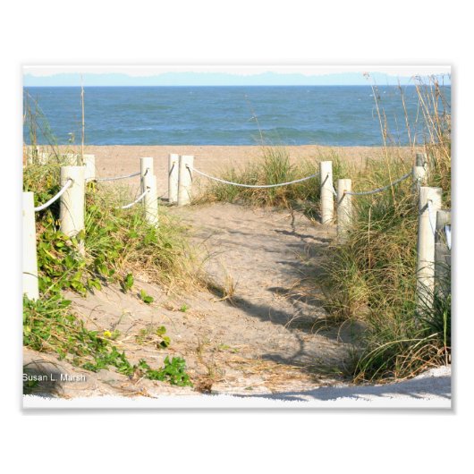Strandspazierweg Düne abseilend von Florida Beach  Fotodruck (Vorne)