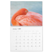 Strandtiere Kalender (Jan 2027)