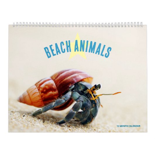 Strandtiere Kalender (Titelbild)