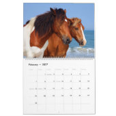 Strandtiere Kalender (Feb 2027)
