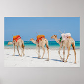 Strandtiere Poster