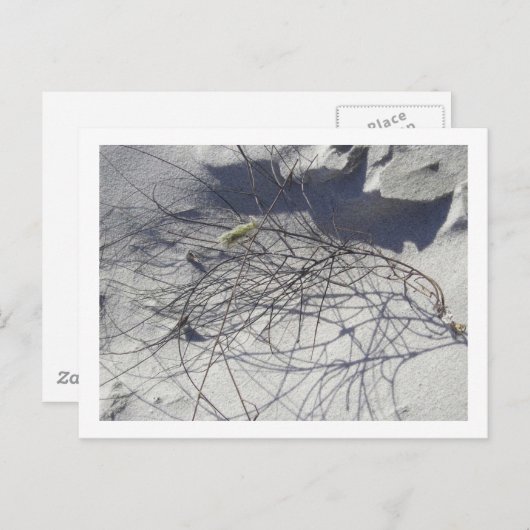 Strandtrümmer Postkarte (Vorne/Hinten)