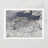 Strandtrümmer Postkarte (Vorderseite)