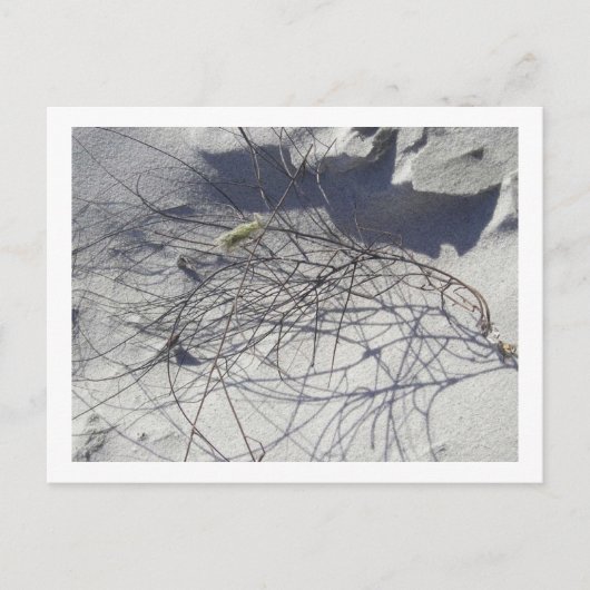 Strandtrümmer Postkarte (Vorderseite)