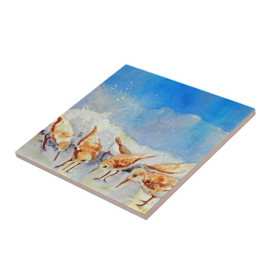 Strandvögel Fliese (Seite)