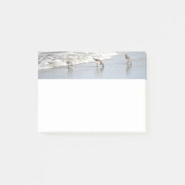 Strandvögel in 4x6-Anmerkungen Post-it Klebezettel