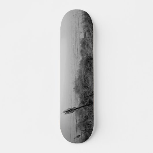 Strandweg Skateboard (Vorne)