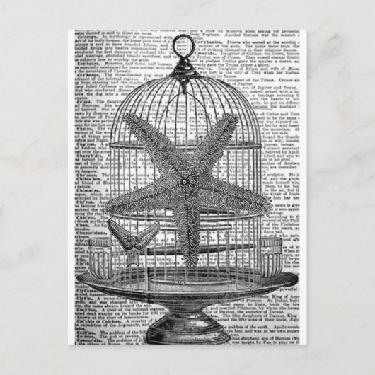 Strandwörterbuch Steampunk Birdcage Starfish Postkarte (Vorderseite)