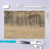 Strandzaun Seidenpapier (Handwerk)