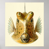 Strange Horned Fish Poster (Vorne)