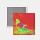 Strange Pigeon Magnet (Vorderseite/Rückseite)
