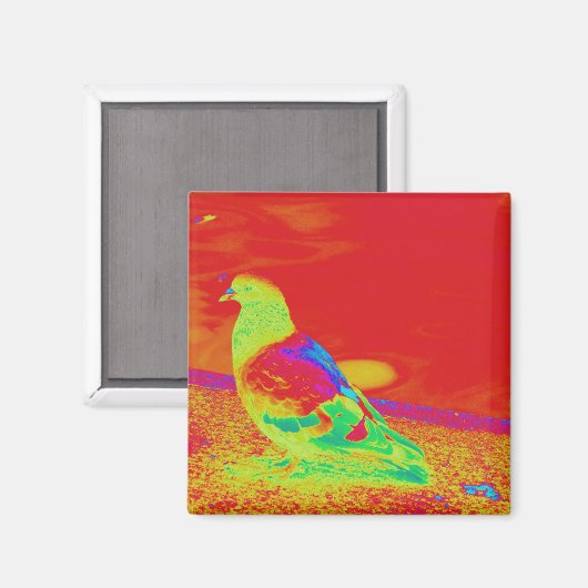 Strange Pigeon Magnet (Vorderseite/Rückseite)