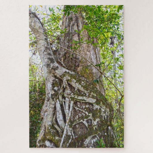 Strangler Fig, Big Cypress National Preserve, FL, Puzzle (Vertikal)