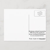 strasburger bahn #90 am J turm Postkarte (Rückseite)