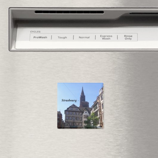 Straßburg Magnet (In Situ (Geschirrspüler))