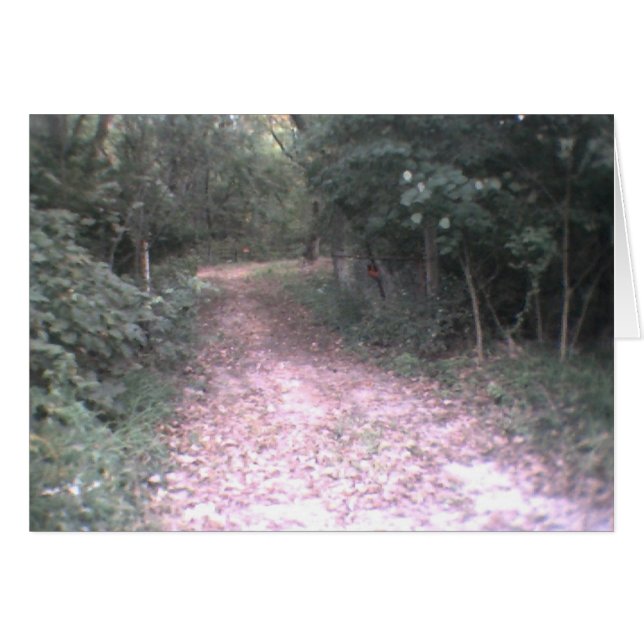 Straße des Lebens (Vorderseite (Horizontal))